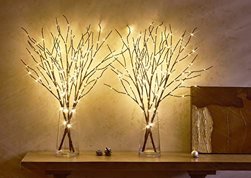 LED Lighted Willow Branches 30 Inch with Timer & Dimmer - Brown Variation of THIS listing