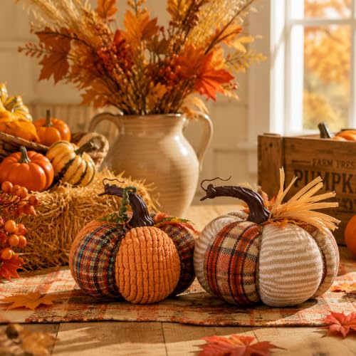 Fall Pumpkin Decor Set of 2 - Harvest Thanksgiving Farmhouse Autumn Decorations