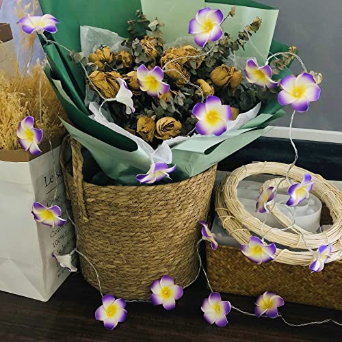 Hawaiian Plumeria String Light - Purple Foam Frangipani Fairy Lights for Garden & Wedding