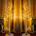 Lighted Birch Tree 6 Ft with 144 LED Fairy Lights - 2 Pack Indoor Outdoor Decor