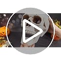 Halloween Human Skull Decor Set - Realistic Plastic Skeleton Models 8 Inch & 5.1 Inch - 4 Pieces