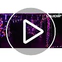 2 Pack 6FT Black Halloween Tree with 288 Orange & Purple LED Lights - Indoor Outdoor Decor