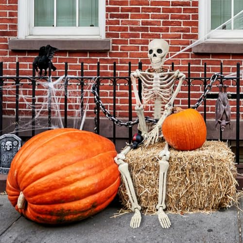 3FT Skeleton Halloween Decorations - Life Size Posable Skeleton with Joints