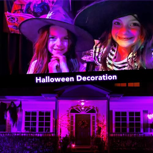 2 Pack Outdoor Halloween LED Black Light Spotlights - 15W UV Floodlights Waterproof