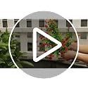 White Outdoor Artificial Flowers - 20 Bundles UV Resistant Faux Plants for Garden & Porch Decor