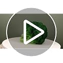 Broccoli Skull Statue - Green Vegetable Decor with Salad Theme - Variation: Broccoli Floret