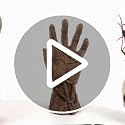 Halloween Hand Jewelry Holder Ring and Bracelet Display Stand - Unique Home Decor