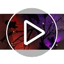 Halloween Willow Vine Twig Garland with 72 LED Lights - 9ft Orange & Purple, 8 Modes & Timer