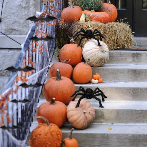 Halloween Spider and Bat Decorations Set - 14 Pcs Spooky Wall & Table Decor for Party & Home