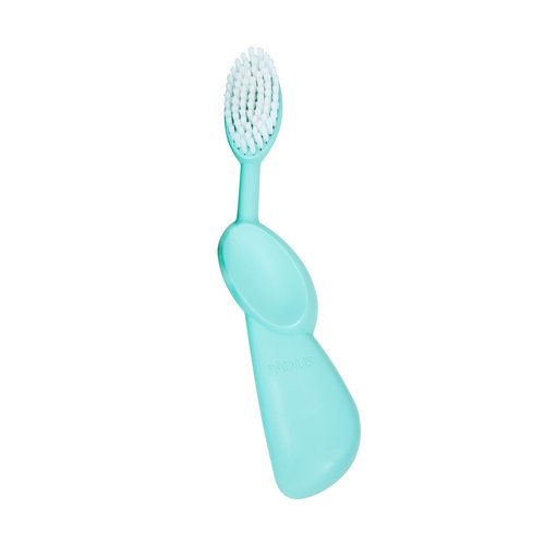 RADIUS Toothbrush Original Big Brush, BPA Free ADA Accepted - Right Hand - Mint Green Brush with Mint Green Case