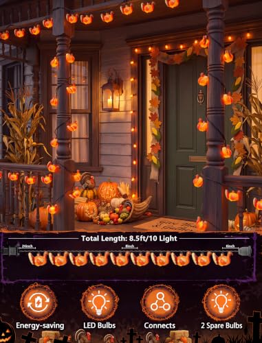 8.5FT Outdoor Thanksgiving Turkey String Lights - Waterproof, Plug-in, 10 LED Bulbs with Variation: Turkey Lights