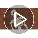 Halloween Wooden Centerpiece Tray Set with Skeleton Pumpkin and Vases