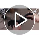 Halloween Hanging Rubber Bat Decor Set - Realistic Flying Bats for Indoor & Outdoor Spooky Atmosphere