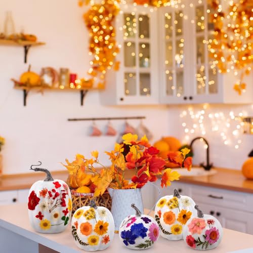White Artificial Pumpkin Craft Kit with Dried Flowers, 24 Pieces