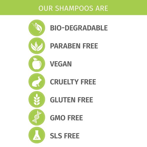 Phillip Adam Fragrance-Free Shampoo - Sulfate & Paraben-Free Formula - pH Balancing for Hair & Scalp - 12 Ounce