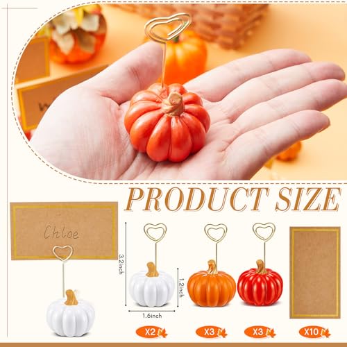 Pumpkin Card Holders Set of 8 - White, Orange, Dark Orange Thanksgiving Decor