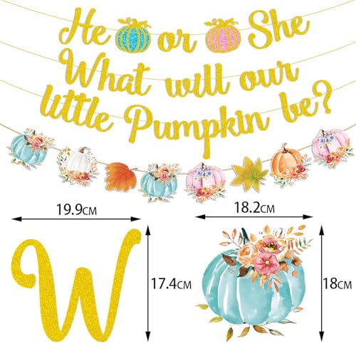 Thanksgiving Pumpkin Banner Gender Reveal Party Decorations - Fall Autumn Harvest Flags & Cake Topper