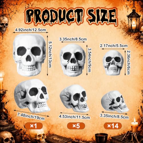 Extra Large 20 Pcs Halloween Skeleton Skulls Decor - Plastic Skull Heads