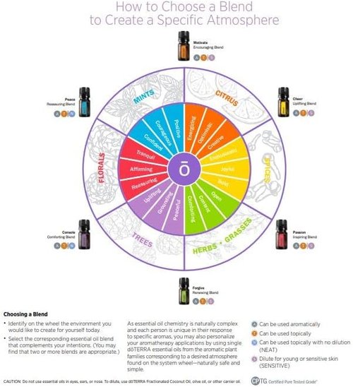 doTERRA - Aromatherapy Touch Kit - 6 Essential Oil Roll-Ons (10 mL Each)