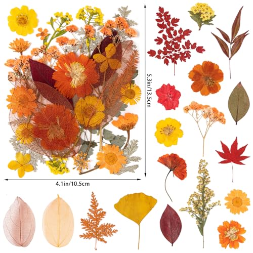 Fall Dried Pressed Flowers Leaves with Tweezers - 140 Pcs Autumn DIY Crafts & Decorations - Variation of Fall 140pcs