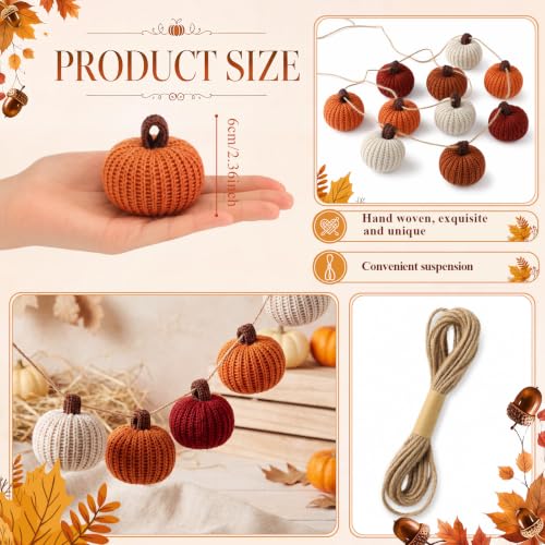 Rustic Fall Pumpkin Garland Crochet Thanksgiving Decor - 8.2 ft Colorful