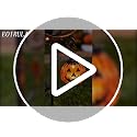 Solar Halloween Black Cat & Pumpkin Moon Garden Stake Light - Style C