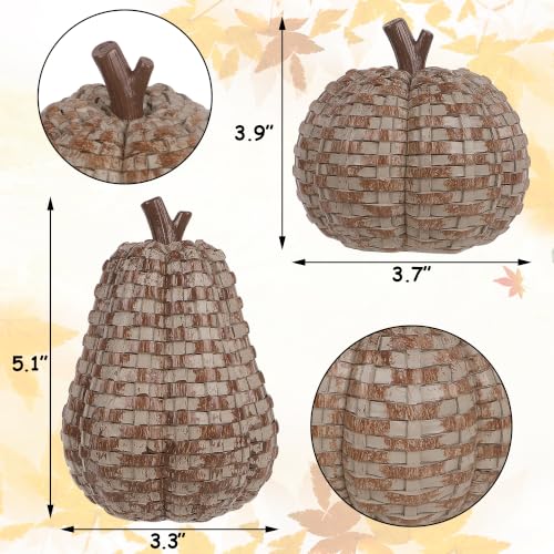 Brown Fall Pumpkin Decor Pack - Woven Resin Pumpkins for Indoor & Outdoor