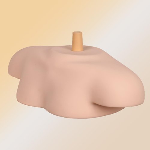 Newshair Mannequin Head Stand, Shoulder Mannequin Cosmetology and Hairdressing Training in Home and Salon Settings Shoulder Support, Shoulder Model Professional Mannequin Head Display Stand Base