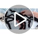 Halloween Giant Black Plush Spiders Set with Cobwebs and Small Plastic Spiders - Outdoor Yard Decorations