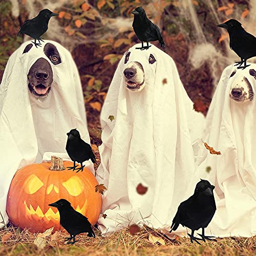 Halloween Black Feathered Crows Decor 12 Pack - Indoor Outdoor Yard Garden Party