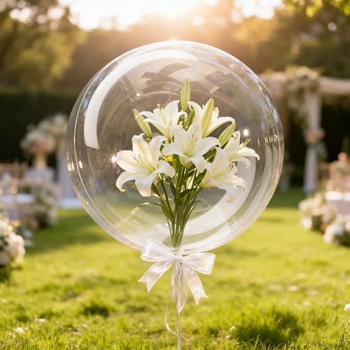 18 Inch Bobo Bubble Balloons 25 Pack - Party Decorations, Resilient & Odorless