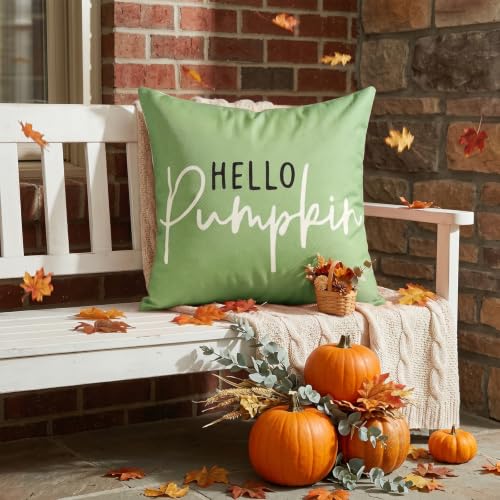 Artscope Hello Pumpkin Sage Throw Pillow Cover 22x22 Inch Fall Decor - Pack of 1