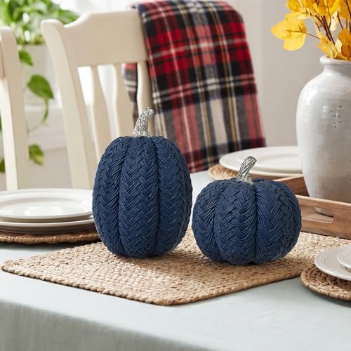 Blue Fall Pumpkins Set of 2 - Small Resin Braided Autumn Table Decor