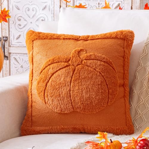 Rust Pumpkin Fall Throw Pillow Cover 18x18 - Autumn Decor, Plush Fabric, Set of 1