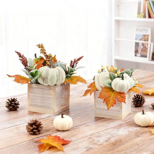 Autumn Fall Pumpkin Decor Set in Wooden Box - Harvest Thanksgiving Centerpieces