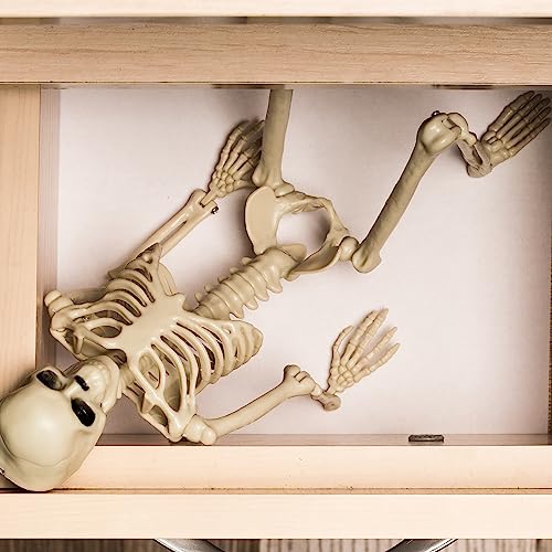 16-Inch Plastic Full Body Skeleton Halloween Decoration - Posable Hanging Skeleton for Haunted House & Graveyard Props