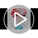 Funny Lips Photo Booth Props Set - 40 Pieces with Sticks for Parties & Events - Variation of Funny Lips Props-40pcs / One Size