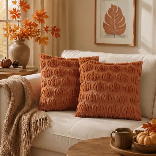 Fall Pumpkin Throw Pillow Covers Set of 2 - Light Rust 18x18 Inches - Farmhouse Decor