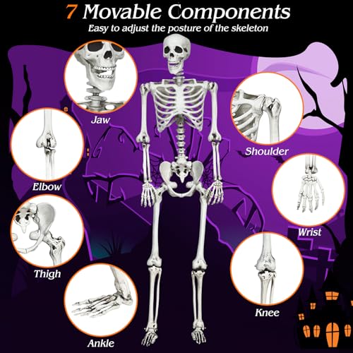 White 5.4 FT Life-Size Posable Skeleton Halloween Decoration