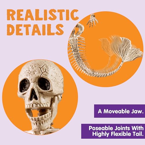 Mermaid Skeleton Halloween Decorations - Poseable 20-Inch Set of 4 - Indoor Outdoor Photo Props & Spooky Scene Favors - Variation of 4
