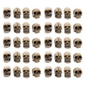 Halloween Mini Skull Set - 40 Realistic Resin Skeleton Heads for Decor