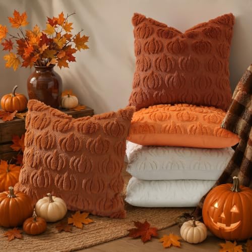 Fall Pumpkin Throw Pillow Covers Set of 2 - Light Rust 18x18 Inches - Farmhouse Decor
