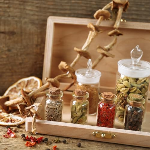 20ml Glass Bottles with Cork Stoppers Set of 8 - Clear Jars for Crafts & Wedding Decor