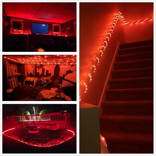 100Ft Waterproof LED Rope Lights - Outdoor Decorative String Light for Indoor & Garden - Christmas Red Variation