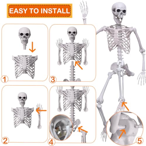 5.4Ft Halloween Skeleton with Movable Joints - Life Size Human Bones for Indoor Outdoor Decor
