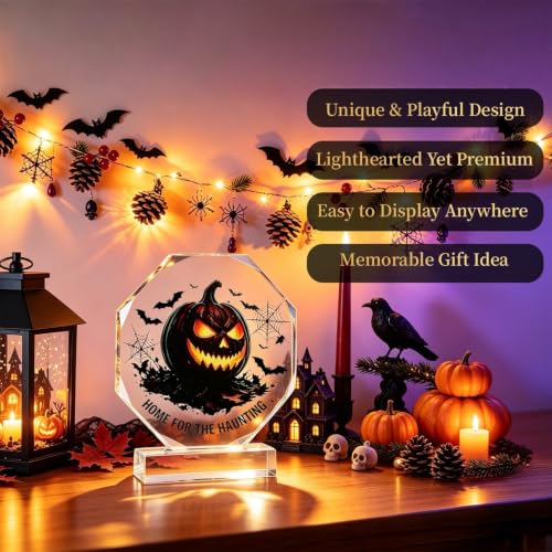 Halloween Spooky Jack O' Lantern Decor with Bats & Spiderwebs - Indoor Tabletop Accent