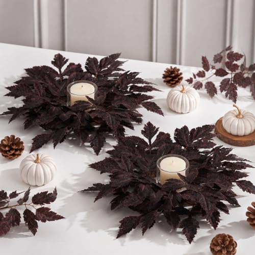 Mini Fall Wreaths with Cimicifuga Leaves - 2 Pack for Kitchen Decor - Variation of Cimicifuga Leaf