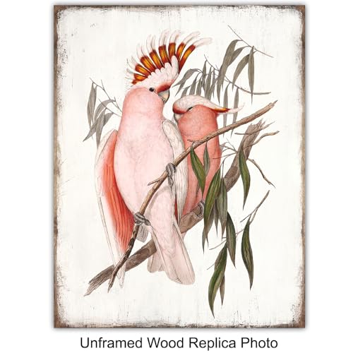 11x14 Tropical Bird Wall Art Set - Exotic Parrot, Lovebird, Toucan & Cockatoo Prints - Unframed Bird Decor - Variation 1