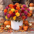 Artificial Fall Flower Bouquet Set - Multicolor Pompom Chrysanthemums, 24 Bunches with Bendable Stems