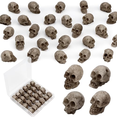 Mini Resin Skull Heads for Halloween Crafts & Decorations - 24 Pack